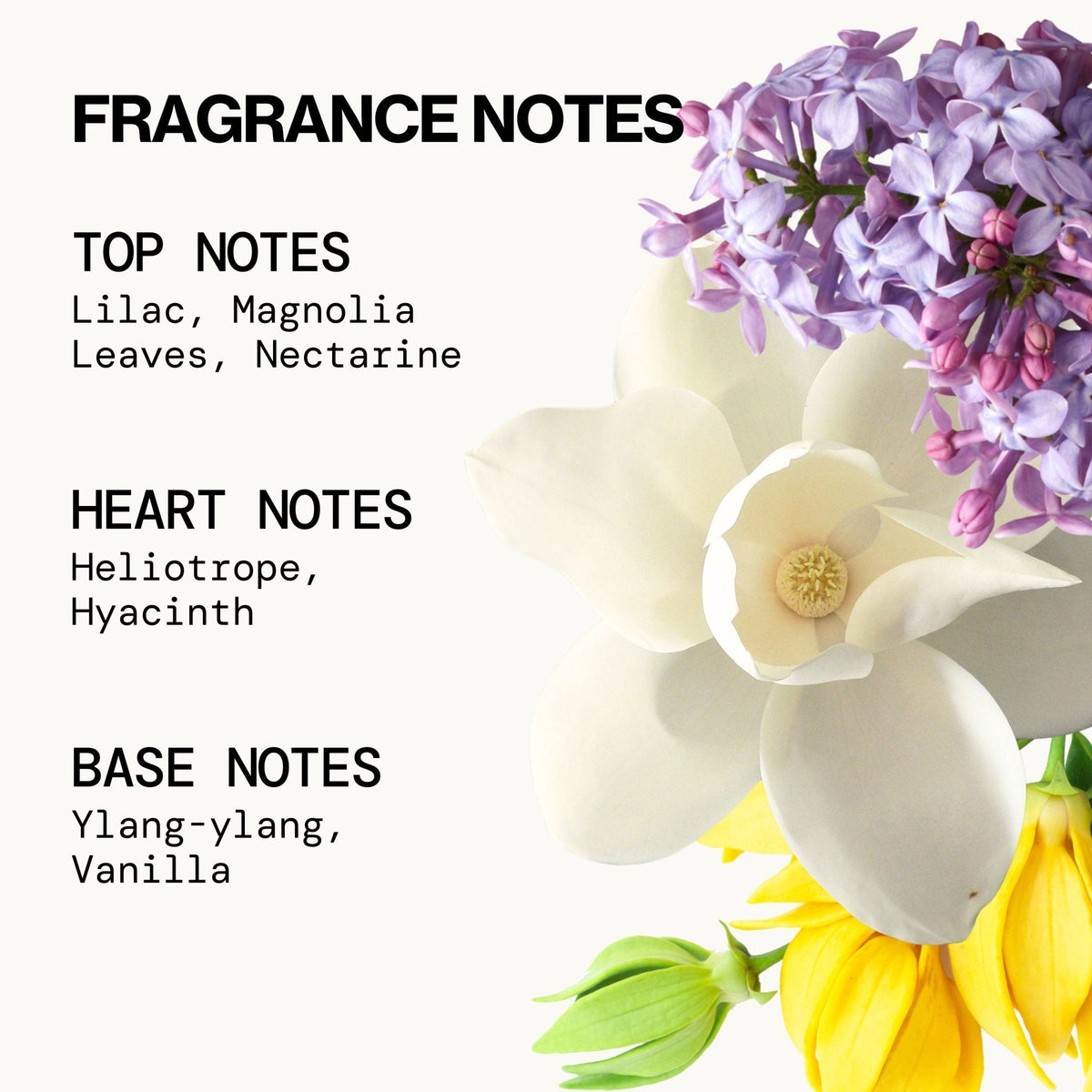 French Lilac Spray Perfume