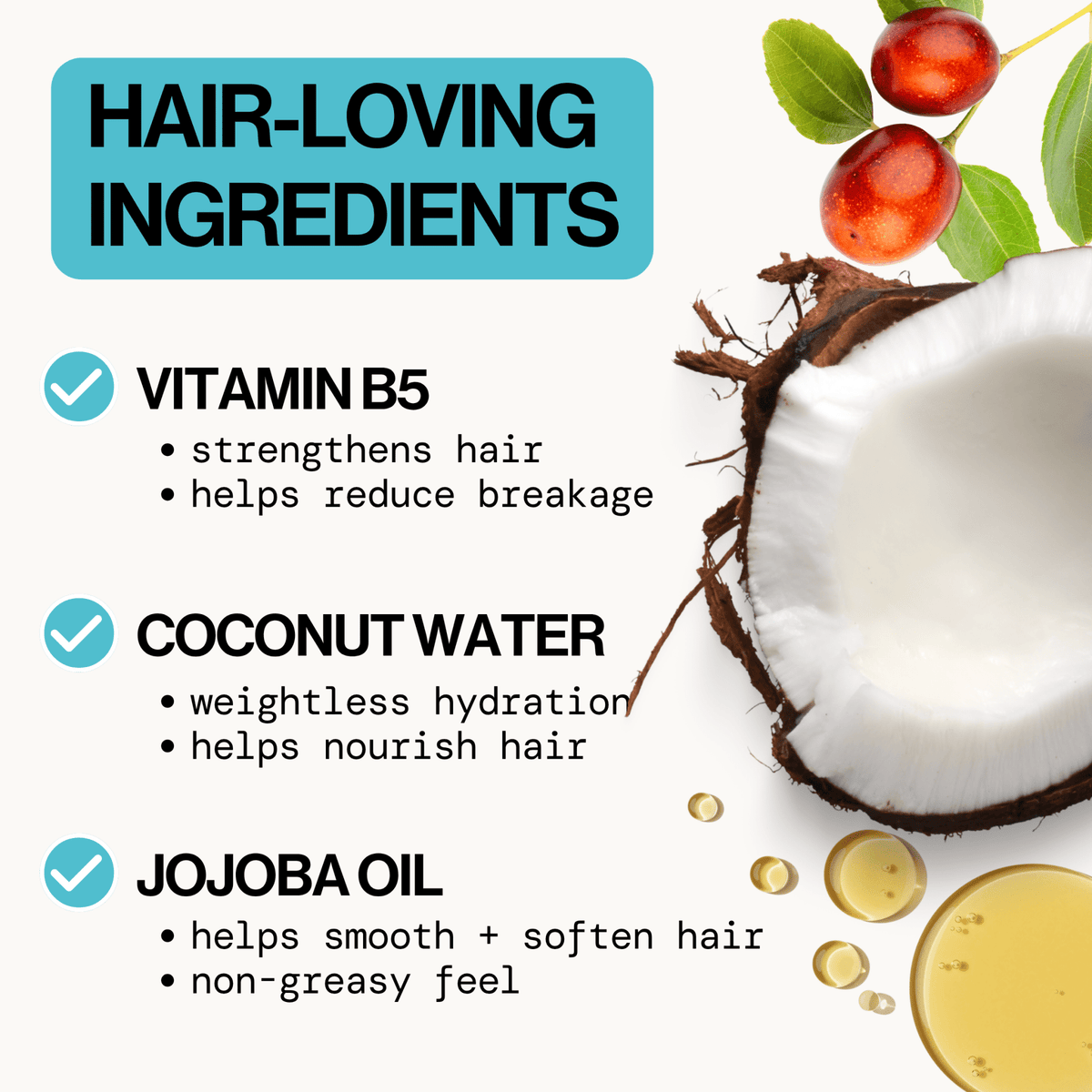 Coconut Milk Detangle Elixir