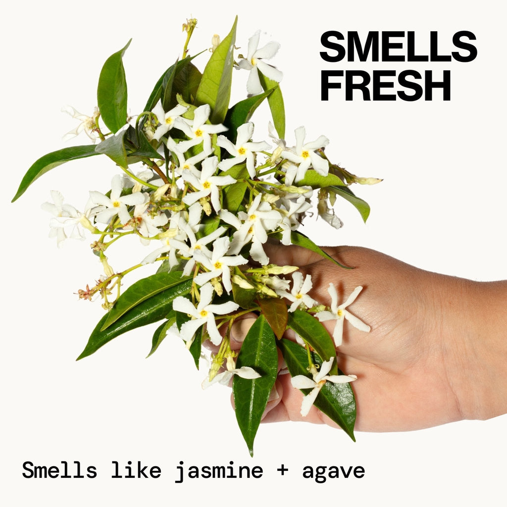 Jasmine Agave Strength + Shine Conditioner