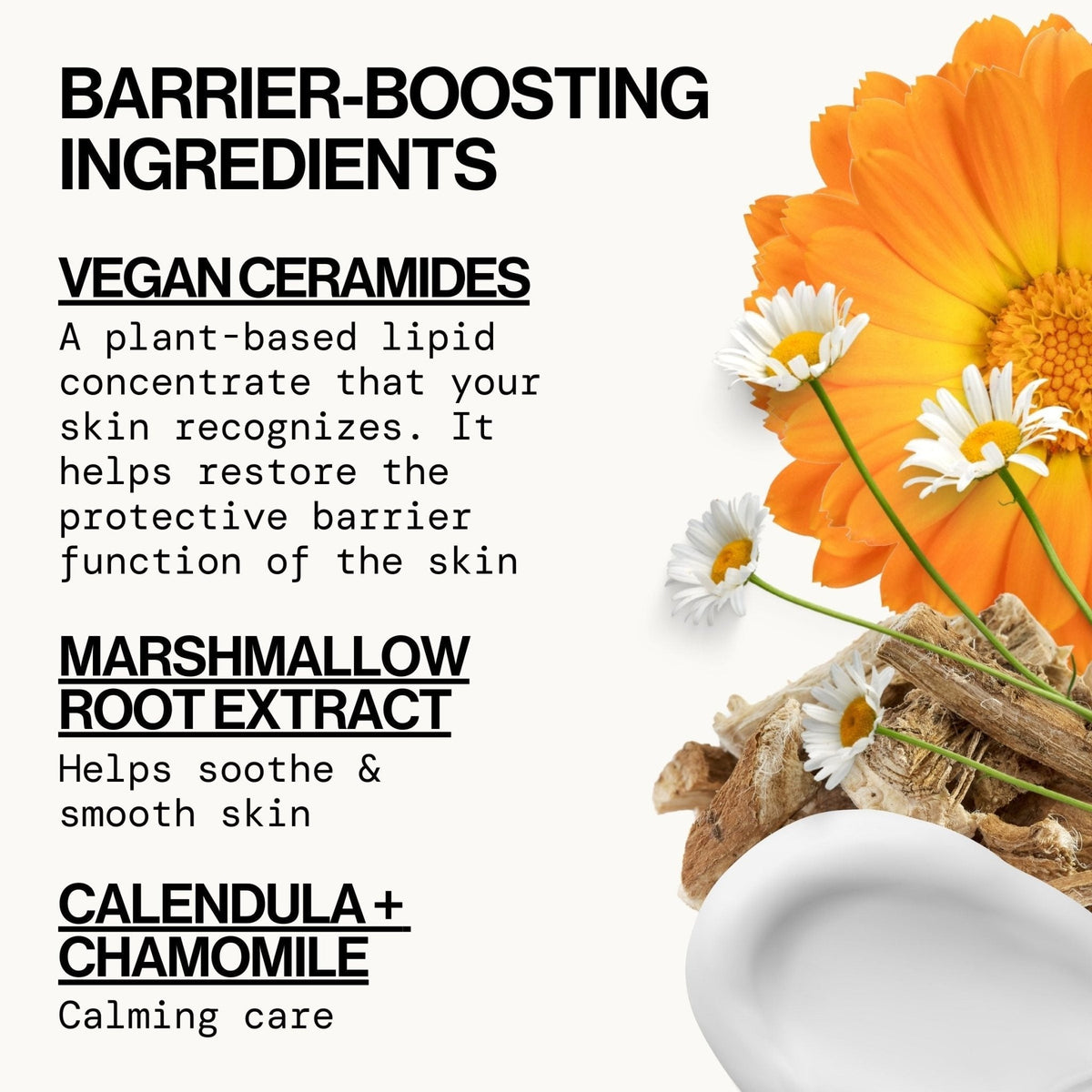 Vegan Ceramide Barrier Face Lotion