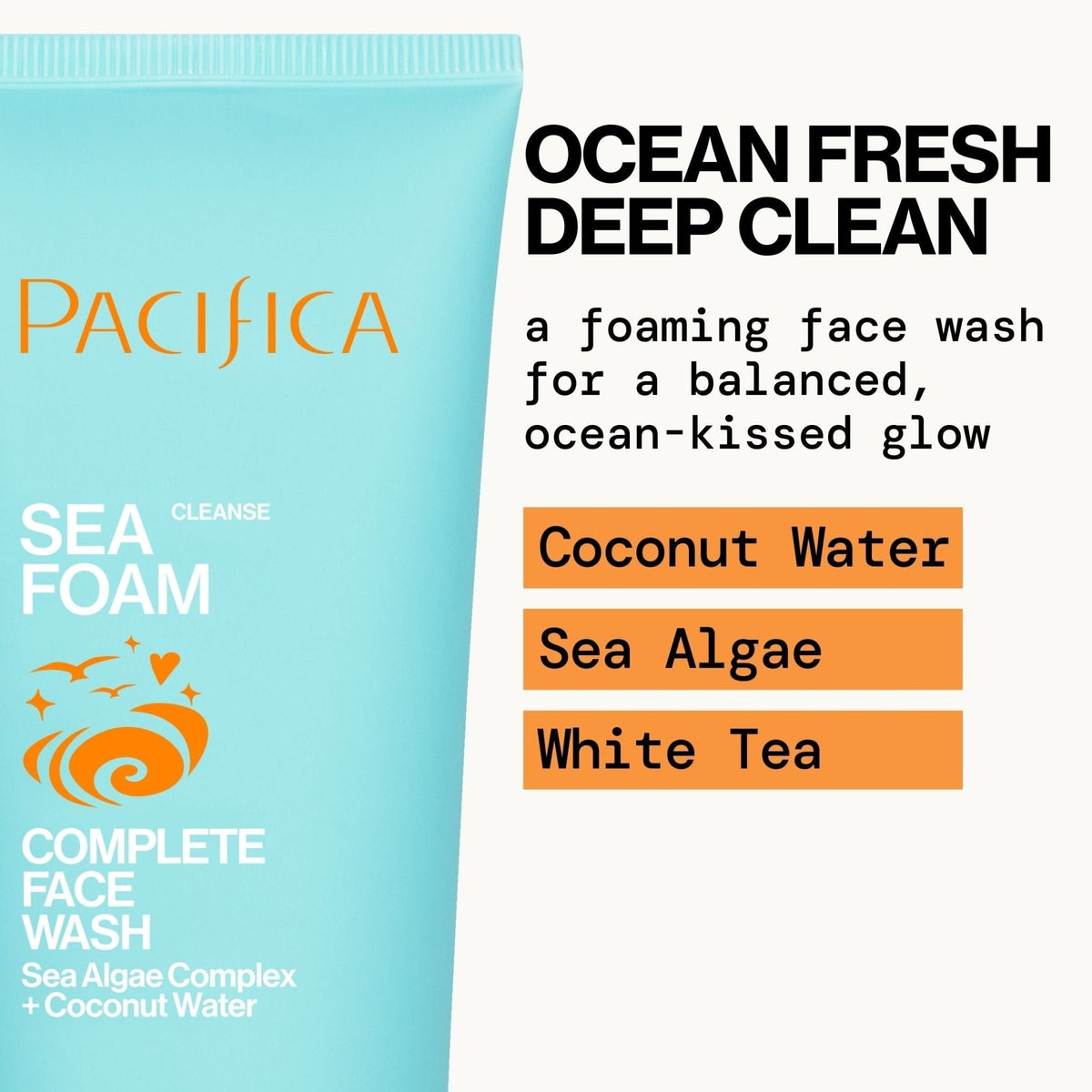 Sea Foam Complete Face Wash | Daily Facial Cleanser