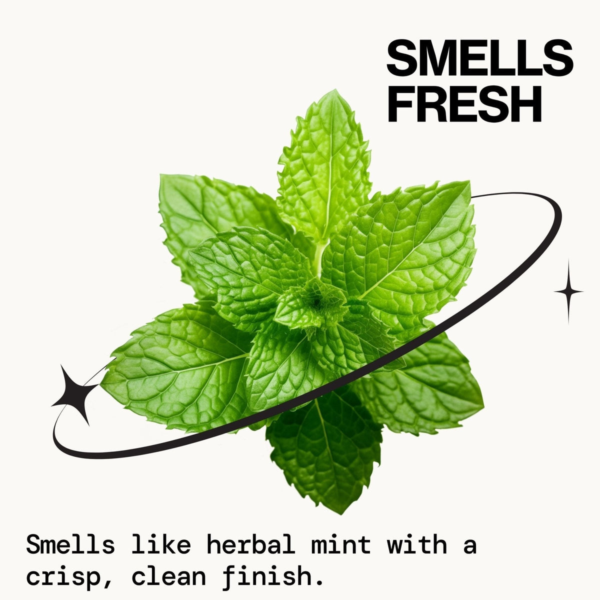 Rosemary Mint Scalp Love Shampoo
