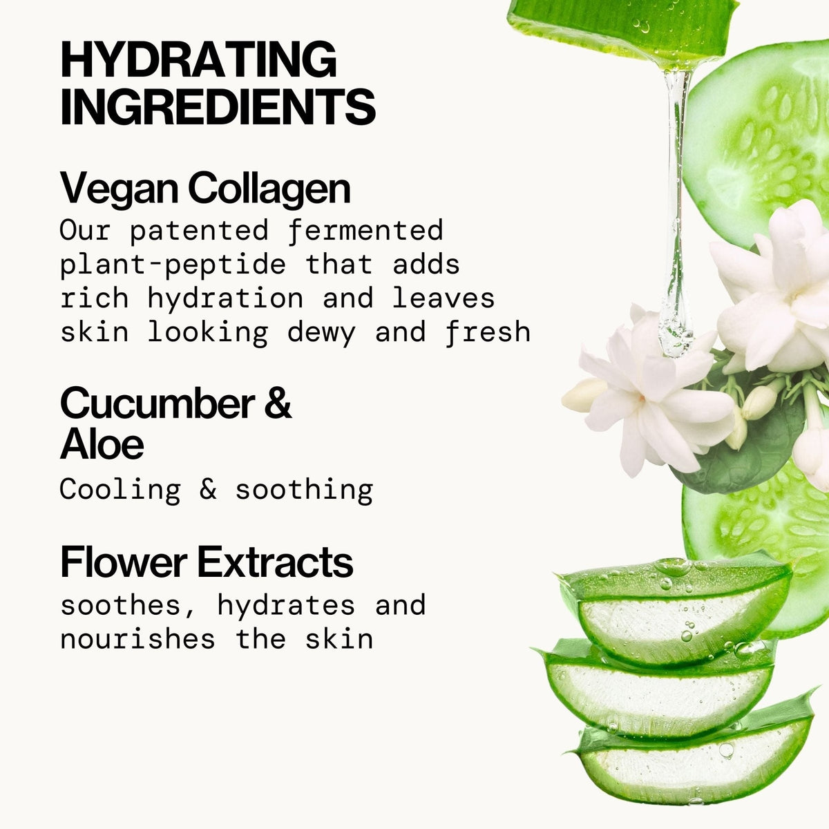 Vegan Collagen Hydrate & Plump Facial Mask