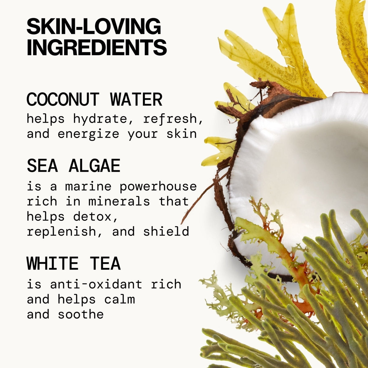 Sea Foam Complete Face Wash | Daily Facial Cleanser