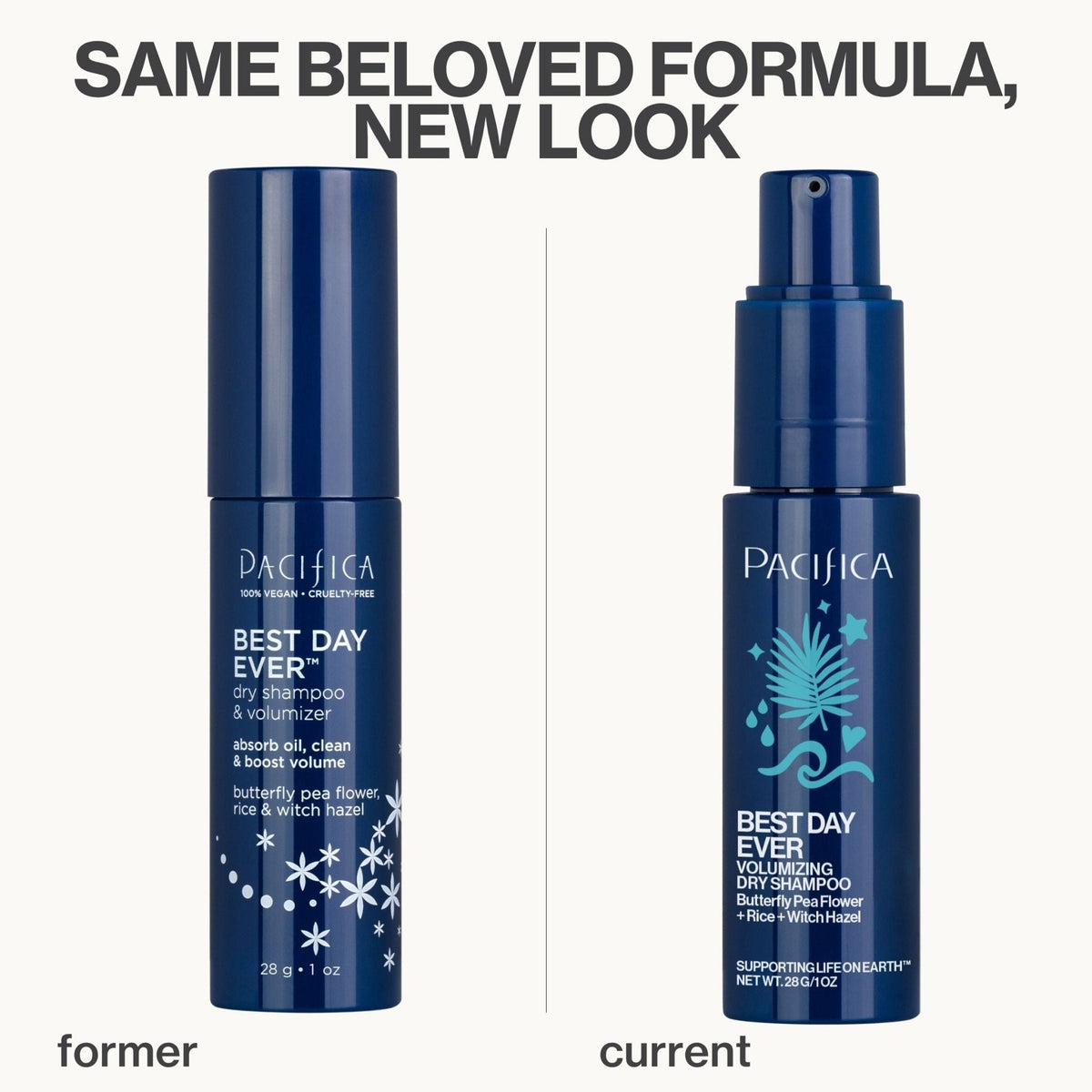 Best Day Ever Dry Shampoo